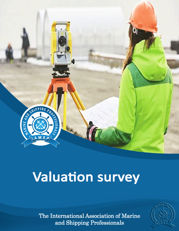 Valuation Survey